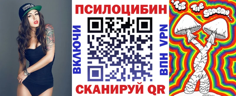 Псилоцибиновые грибы Psilocybe  KRAKEN маркетплейс  Инсар 